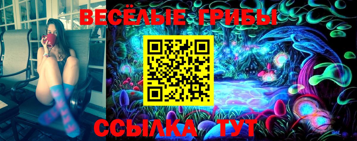 Галлюциногенные грибы мухоморы  Вход с VPN  Карачаевск 