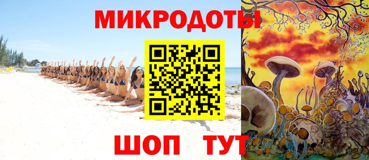 Галлюциногенные грибы Psilocybine cubensis Карачаевск